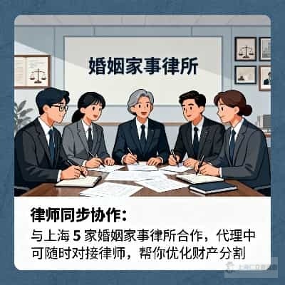 上海离婚代理3_压缩