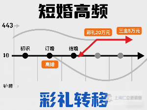 上海婚姻信息梳理痛点与民事事务咨询服务 