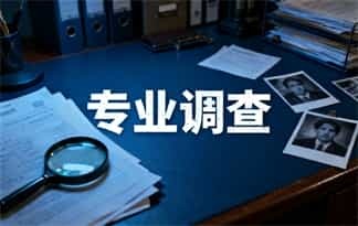 上海都市背后的秘密