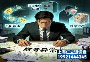 上海商务信息咨询顾问